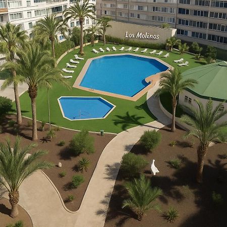 Residence Los Molinos Maspalomas  Extérieur photo
